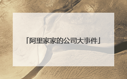 阿里家家的公司大事件