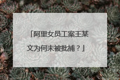 阿里女员工案王某文为何未被批捕?