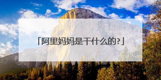 阿里妈妈是干什么的?