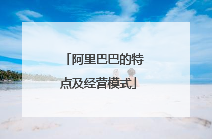 阿里巴巴的特点及经营模式