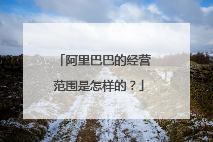 阿里巴巴的经营范围是怎样的?