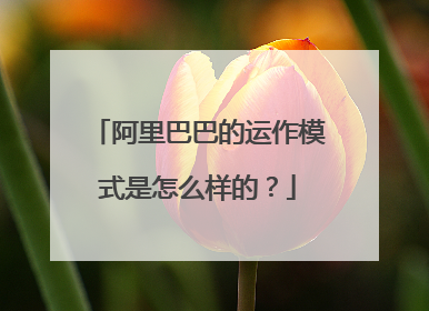 阿里巴巴的运作模式是怎么样的?