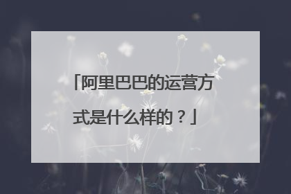阿里巴巴的运营方式是什么样的?
