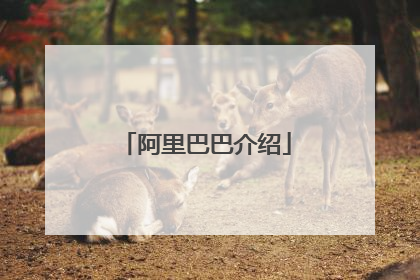 阿里巴巴介绍