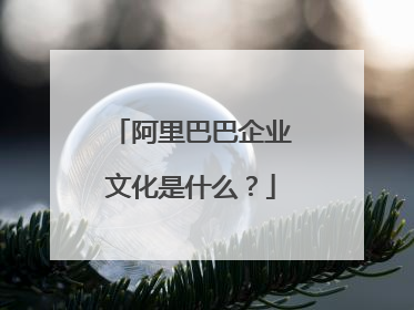 阿里巴巴企业文化是什么？