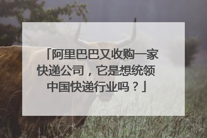 阿里巴巴又收购一家快递公司,它是想统领中国快递行业吗?