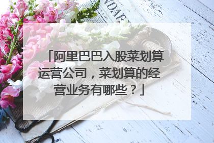 阿里巴巴入股菜划算运营公司,菜划算的经营业务有哪些?