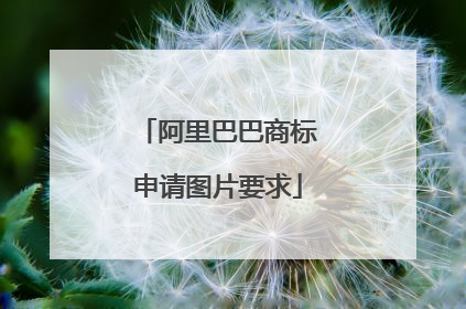 阿里巴巴商标申请图片要求