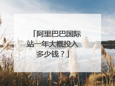 阿里巴巴国际站一年大概投入多少钱?