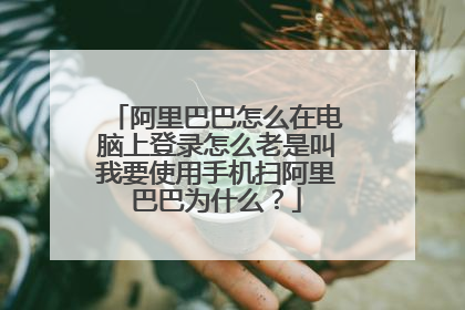 阿里巴巴怎么在电脑上登录怎么老是叫我要使用手机扫阿里巴巴为什么？