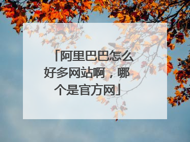 阿里巴巴怎么好多网站啊，哪个是官方网