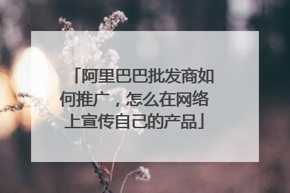 阿里巴巴批发商如何推广,怎么在网络上宣传自己的产品