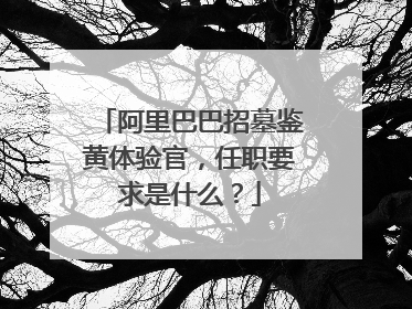 阿里巴巴招墓鉴黄体验官,任职要求是什么?