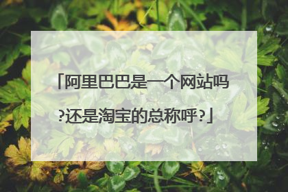 阿里巴巴是一个网站吗?还是淘宝的总称呼?