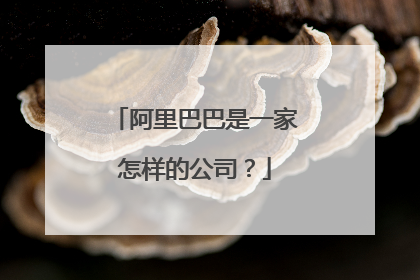 阿里巴巴是一家怎样的公司?