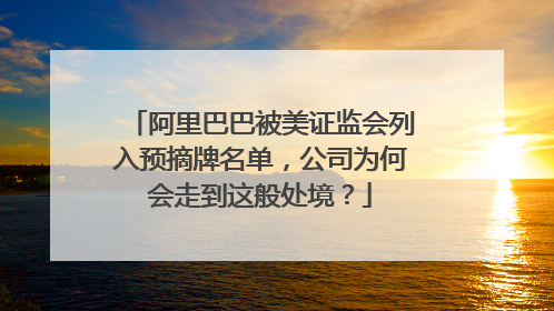 阿里巴巴被美证监会列入预摘牌名单，公司为何会走到这般处境？