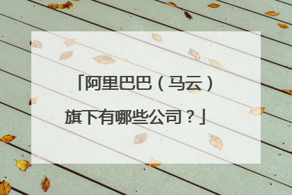 阿里巴巴(马云)旗下有哪些公司?