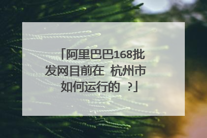 阿里巴巴168批发网目前在 杭州市 如何运行的 ?