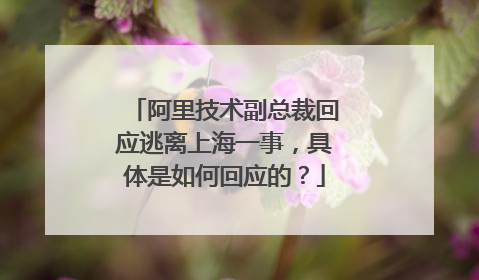阿里技术副总裁回应逃离上海一事,具体是如何回应的?