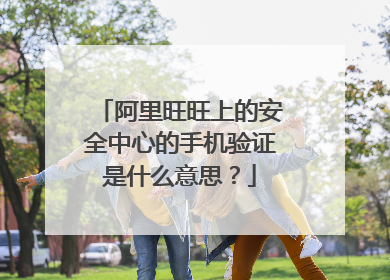 阿里旺旺上的安全中心的手机验证是什么意思?