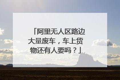 阿里无人区路边大量废车，车上货物还有人要吗？