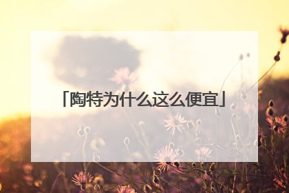 陶特为什么这么便宜