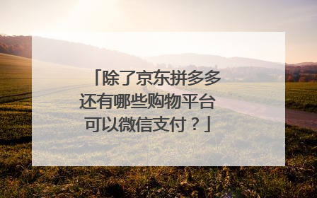 除了京东拼多多还有哪些购物平台可以微信支付？