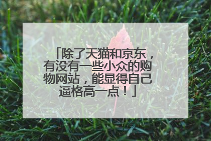 除了天猫和京东，有没有一些小众的购物网站，能显得自己逼格高一点！