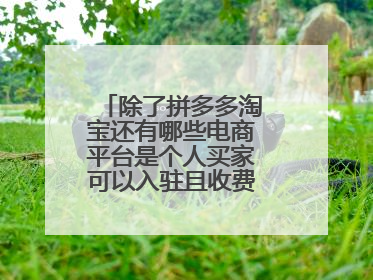 除了拼多多淘宝还有哪些电商平台是个人买家可以入驻且收费不是很高的?