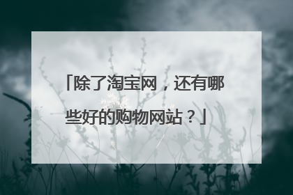 除了淘宝网,还有哪些好的购物网站?