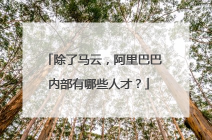 除了马云,阿里巴巴内部有哪些人才?