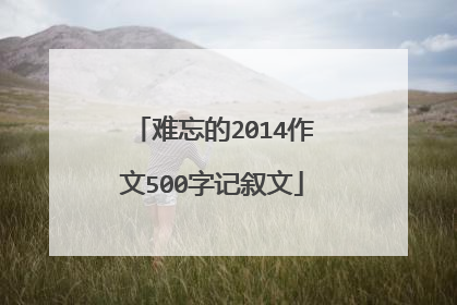 难忘的2014作文500字记叙文