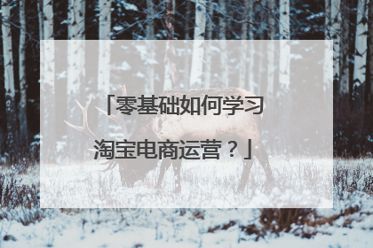 零基础如何学习淘宝电商运营?