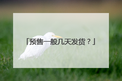 预售一般几天发货?