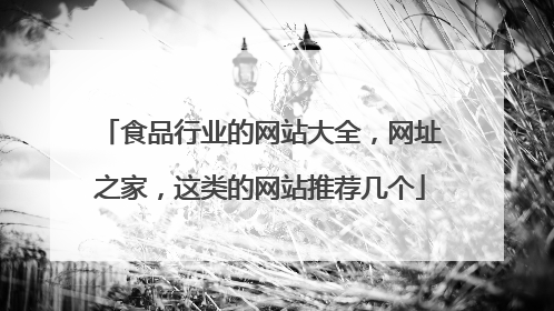 食品行业的网站大全,网址之家,这类的网站推荐几个