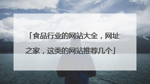 食品行业的网站大全,网址之家,这类的网站推荐几个