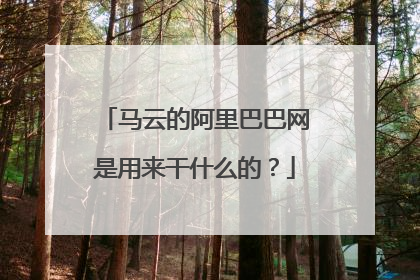 马云的阿里巴巴网是用来干什么的?