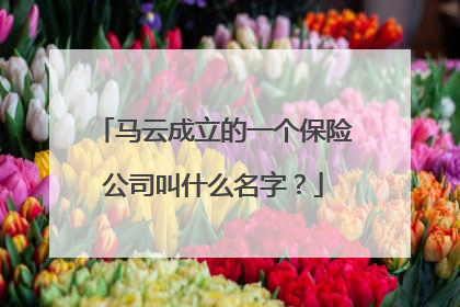 马云成立的一个保险公司叫什么名字？