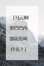 马云阿里巴巴内部花名叫什么?
