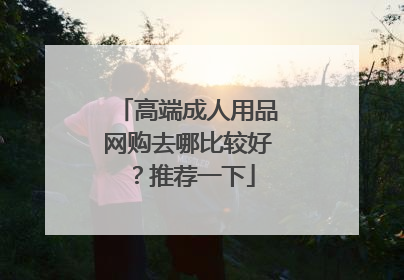 高端成人用品网购去哪比较好?推荐一下