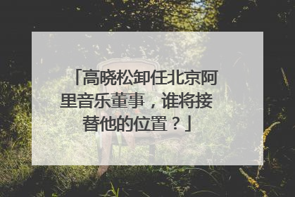 高晓松卸任北京阿里音乐董事，谁将接替他的位置？