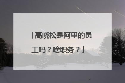 高晓松是阿里的员工吗?啥职务?