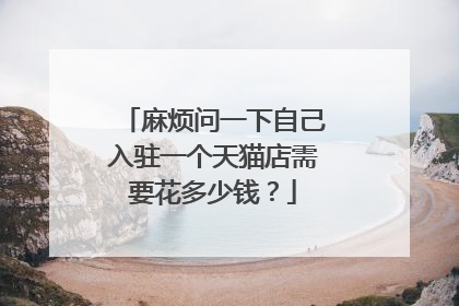 麻烦问一下自己入驻一个天猫店需要花多少钱？