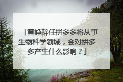 黄峥辞任拼多多将从事生物科学领域,会对拼多多产生什么影响?