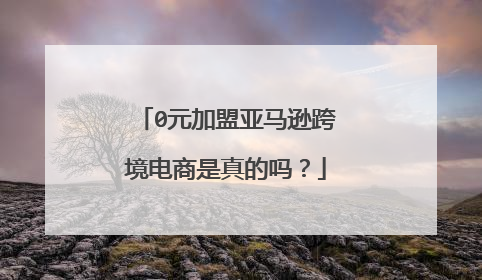 0元加盟亚马逊跨境电商是真的吗?