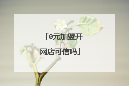 0元加盟开网店可信吗