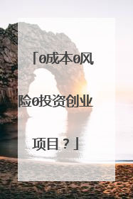 0成本0风险0投资创业项目?