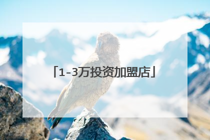1-3万投资加盟店