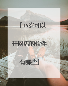 15岁可以开网店的软件有哪些