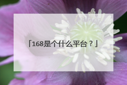 168是个什么平台？